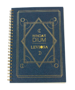 Alternative view of Carnet grimoire