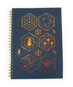 Carnet grimoire