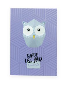 Affiche mini trophée Hibou