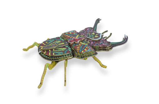 Insecte - Don Burritos – Image 3