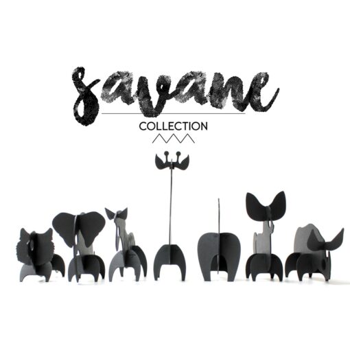 Animaux savane
