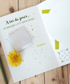 Alternative view of Carte pensée bourgeon