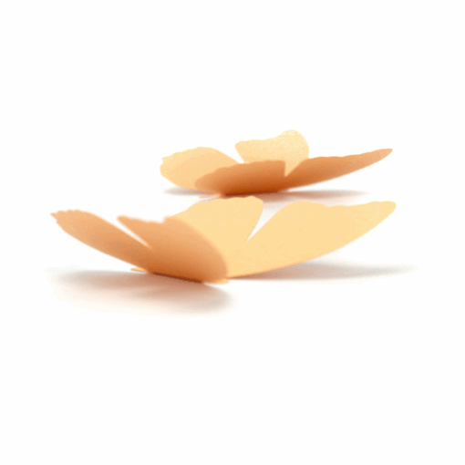 5 papillons couleur – Image 5