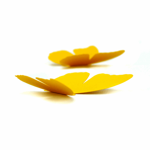 5 papillons couleur – Image 6