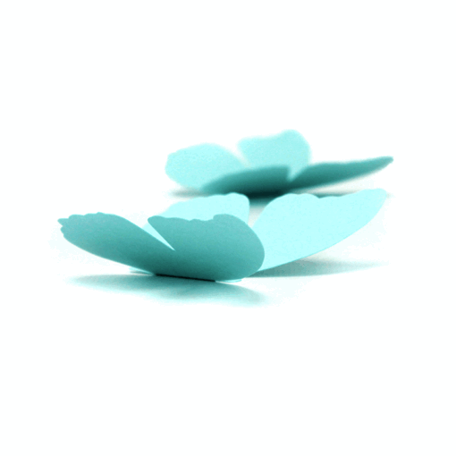 5 papillons couleur – Image 3