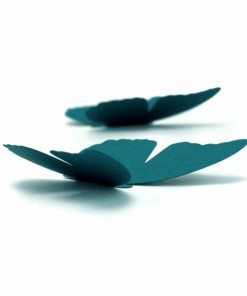 Alternative view of 5 papillons couleur