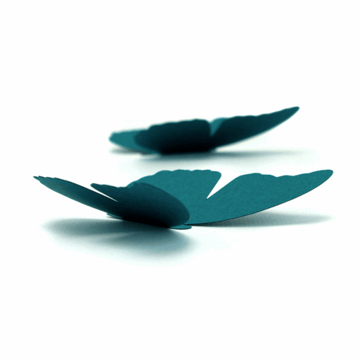 5 papillons couleur – Image 2
