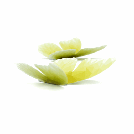5 papillons poly – Image 3