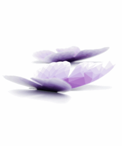 Alternative view of 5 papillons poly