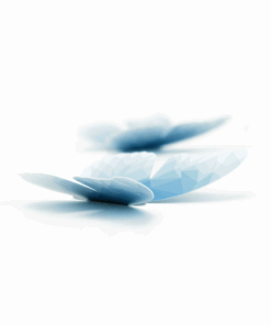 5 papillons poly