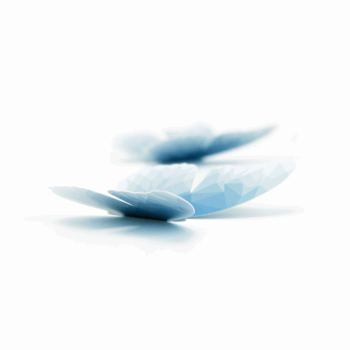 5 papillons poly