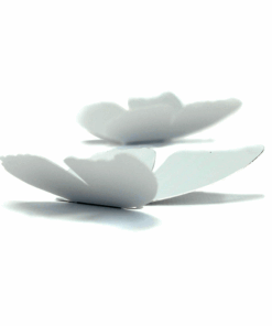 5 papillons argent