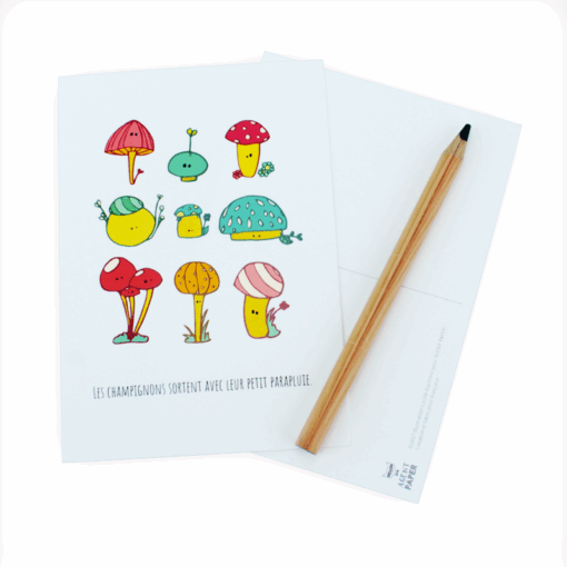 Carte postale champignons