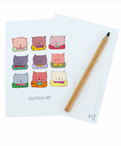 Carte postale chats