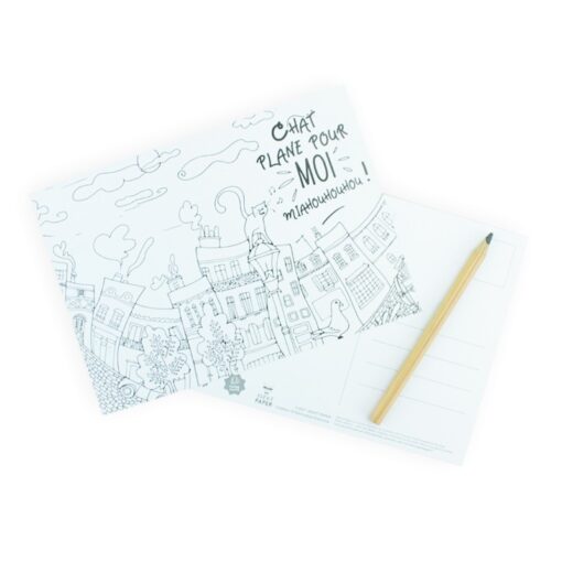 Carte à colorier Chat plane