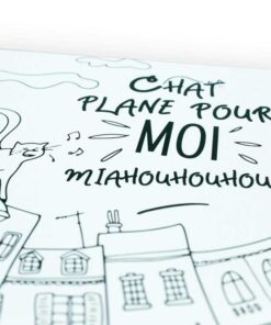 Alternative view of Carte à colorier Chat plane