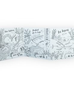 Carte à colorier accordéon