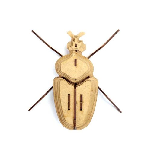 Insecte - Globulus giganticus – Image 3