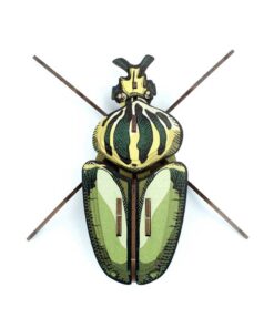 Insecte - Globulus giganticus
