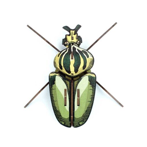Insecte - Globulus giganticus