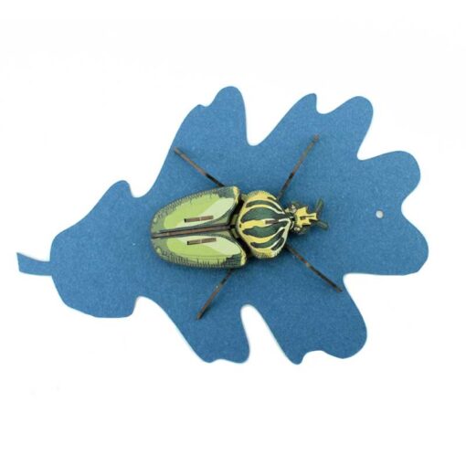 Insecte - Globulus giganticus – Image 2
