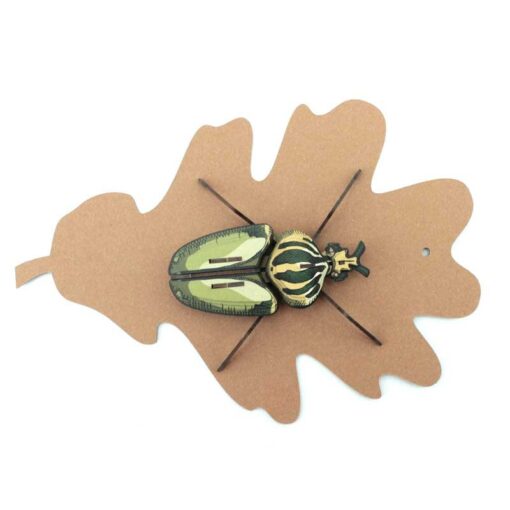 Insecte - Globulus giganticus – Image 5