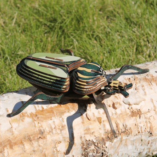 Insecte - Globulus giganticus – Image 4
