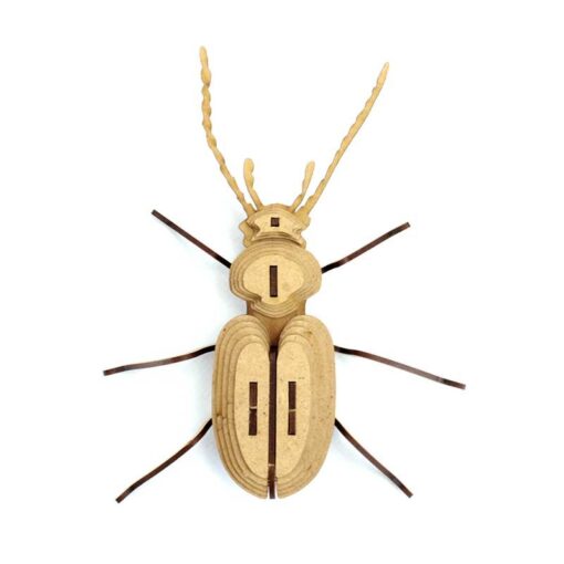 Insecte - Chatouillus – Image 3