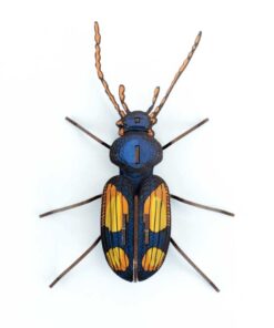 Insecte - Chatouillus