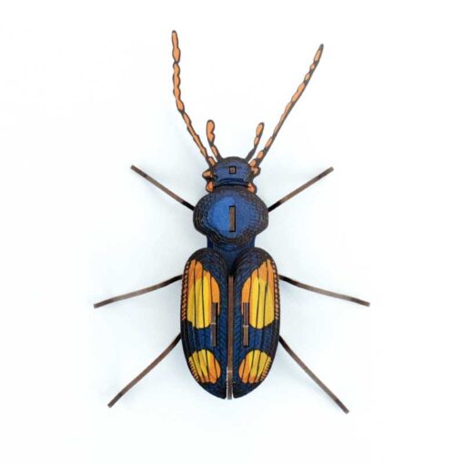 Insecte - Chatouillus