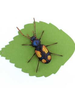 Alternative view of Insecte - Chatouillus