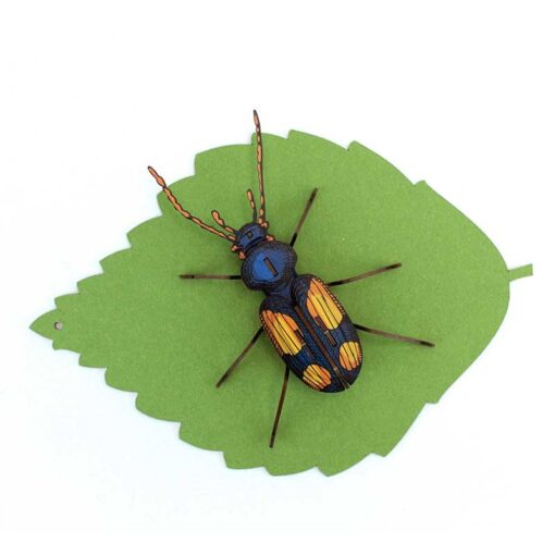 Insecte - Chatouillus – Image 2