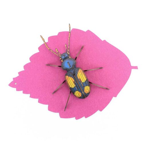 Insecte - Chatouillus – Image 4