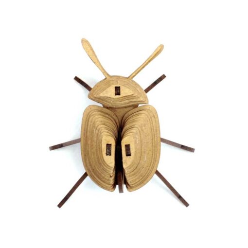 Insecte - Pucetulus – Image 3