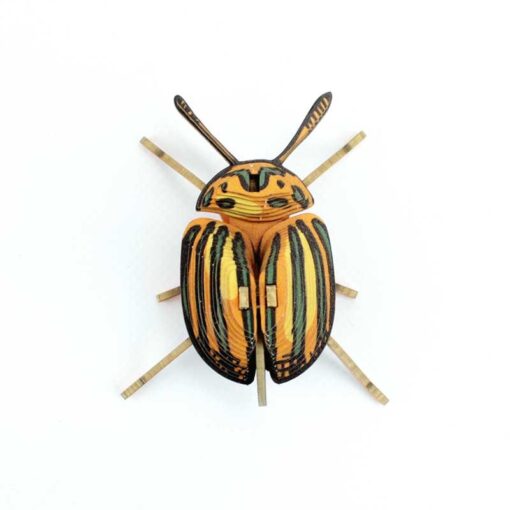 Insecte - Pucetulus