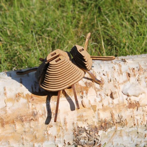 Insecte - Pucetulus – Image 5