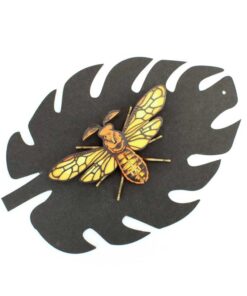 Alternative view of Insecte - Noctambulus