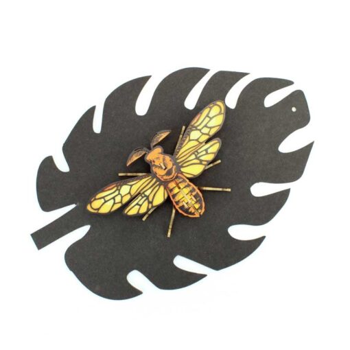 Insecte - Noctambulus – Image 2