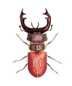 Insecte - Mordicus