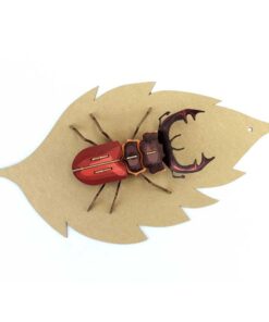 Alternative view of Insecte - Mordicus