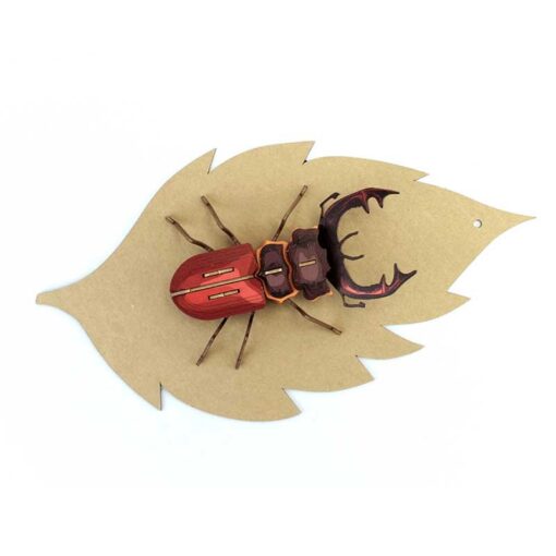 Insecte - Mordicus – Image 2