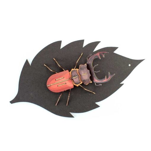 Insecte - Mordicus – Image 4
