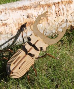 Insectes