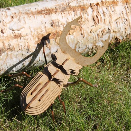 Insecte - Mordicus – Image 5