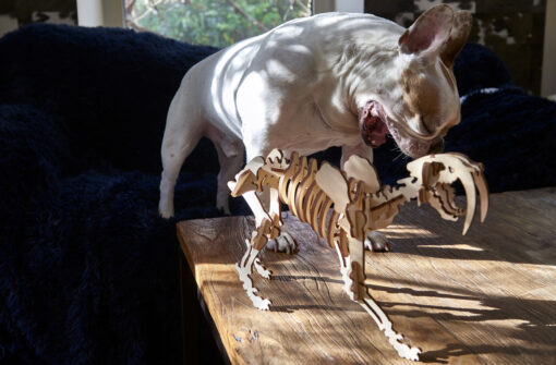 Smilodon en bois – Image 5