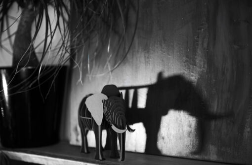 Elephant en carton – Image 3