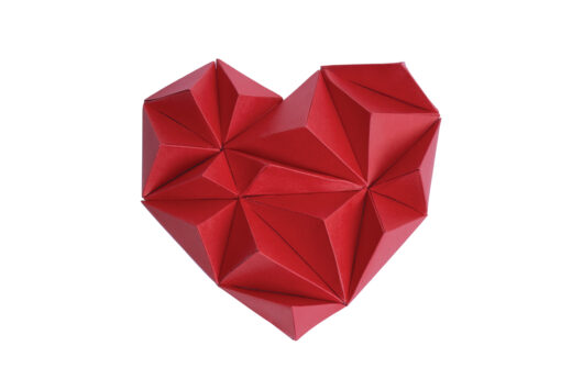 Coeur prisme – Image 2