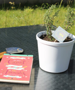 Alternative view of Carnet Aromatique