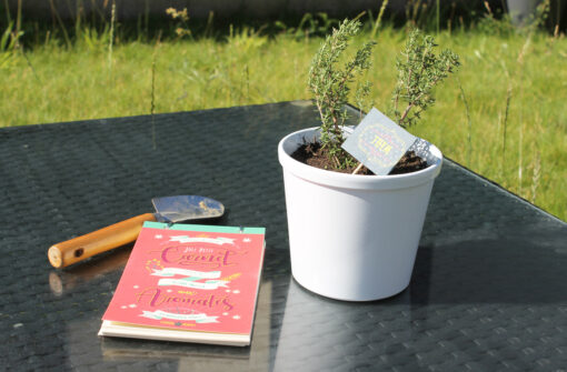 Carnet Aromatique – Image 2