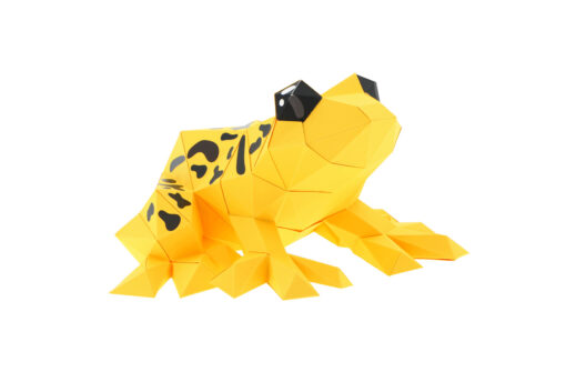 Grenouille en papier 3D